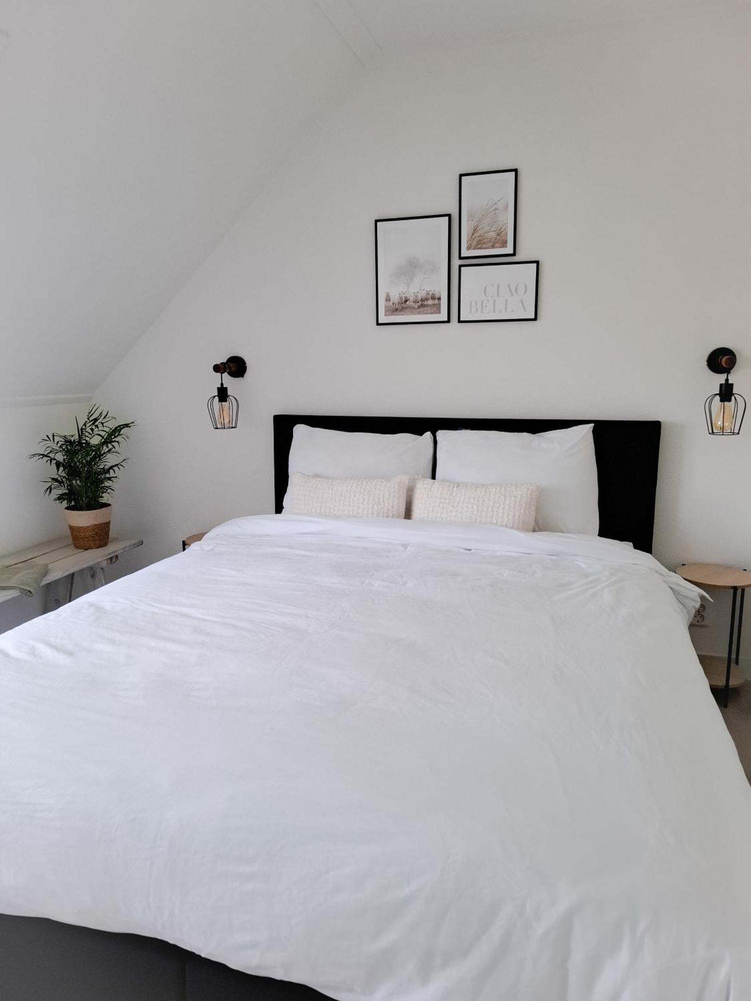 De Bokkeleane Bed and Breakfast Kolderwolde Buitenkant foto